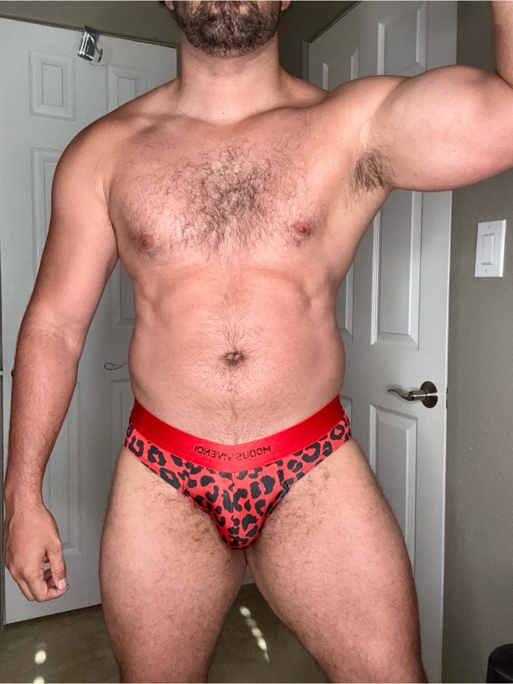 MODUS VIVENDI Red Leopard-Print Men's Brief with Contour Pouch